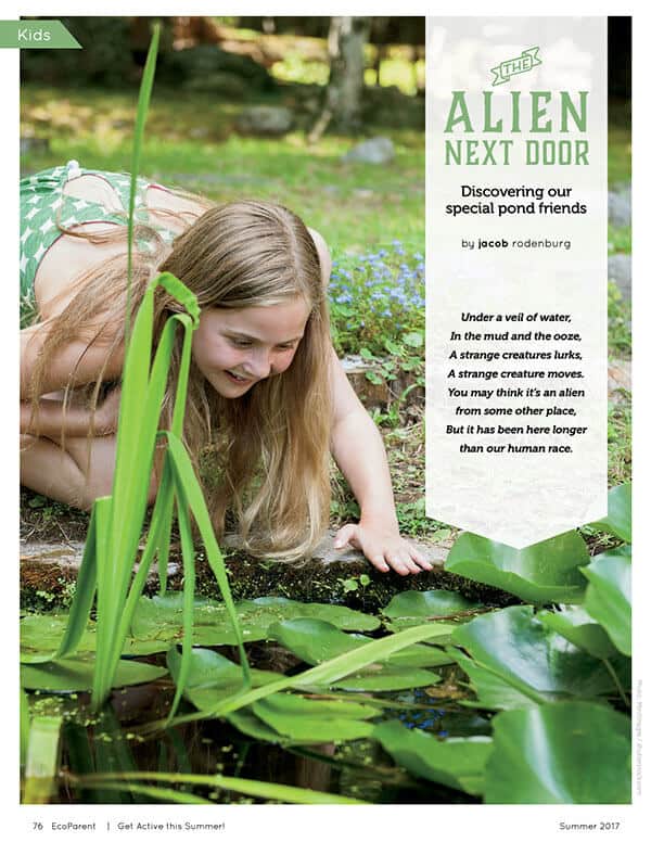 Photo of young girl looking into pond