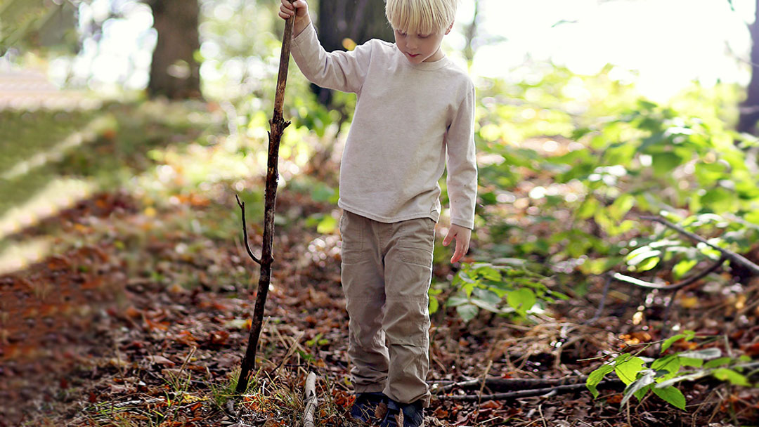 Young boy walking in the forest