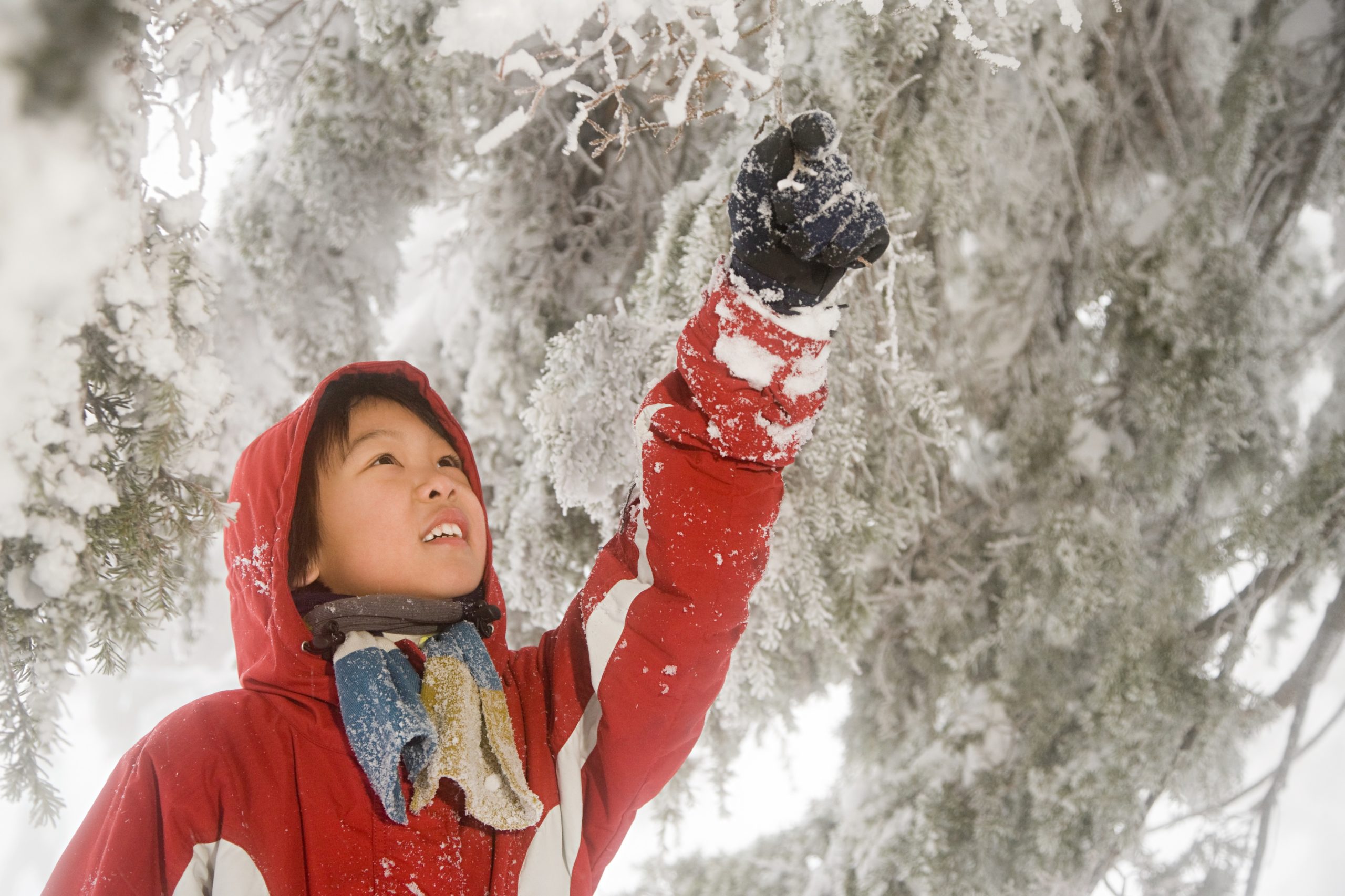 boy outside with snow covered tree