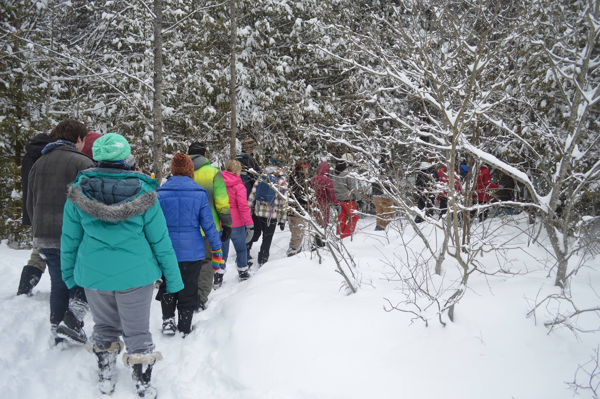 Environment Centre in evening