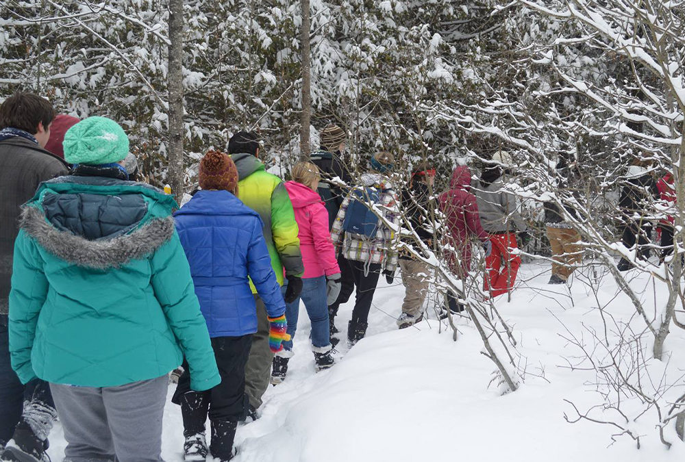 March Newsletter – From the Desk of the Executive Director