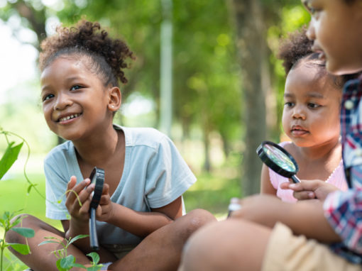 Three siblings looking at nature with magnifying glasses