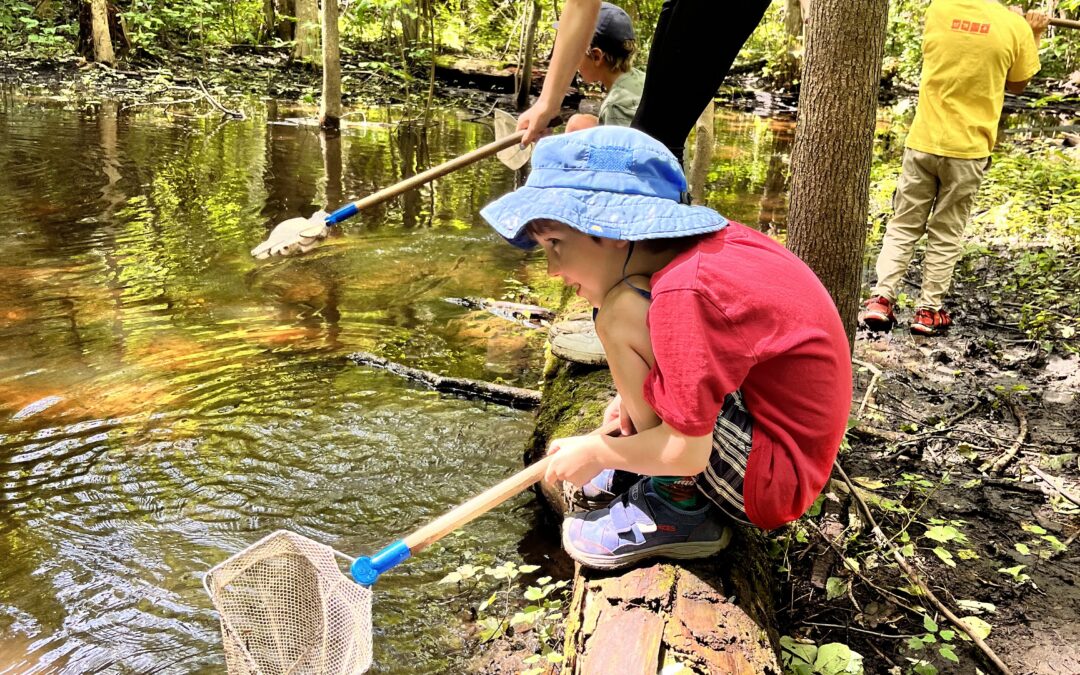 Wetland Wonders