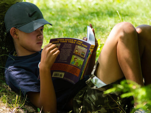 Young boy reading book under tree