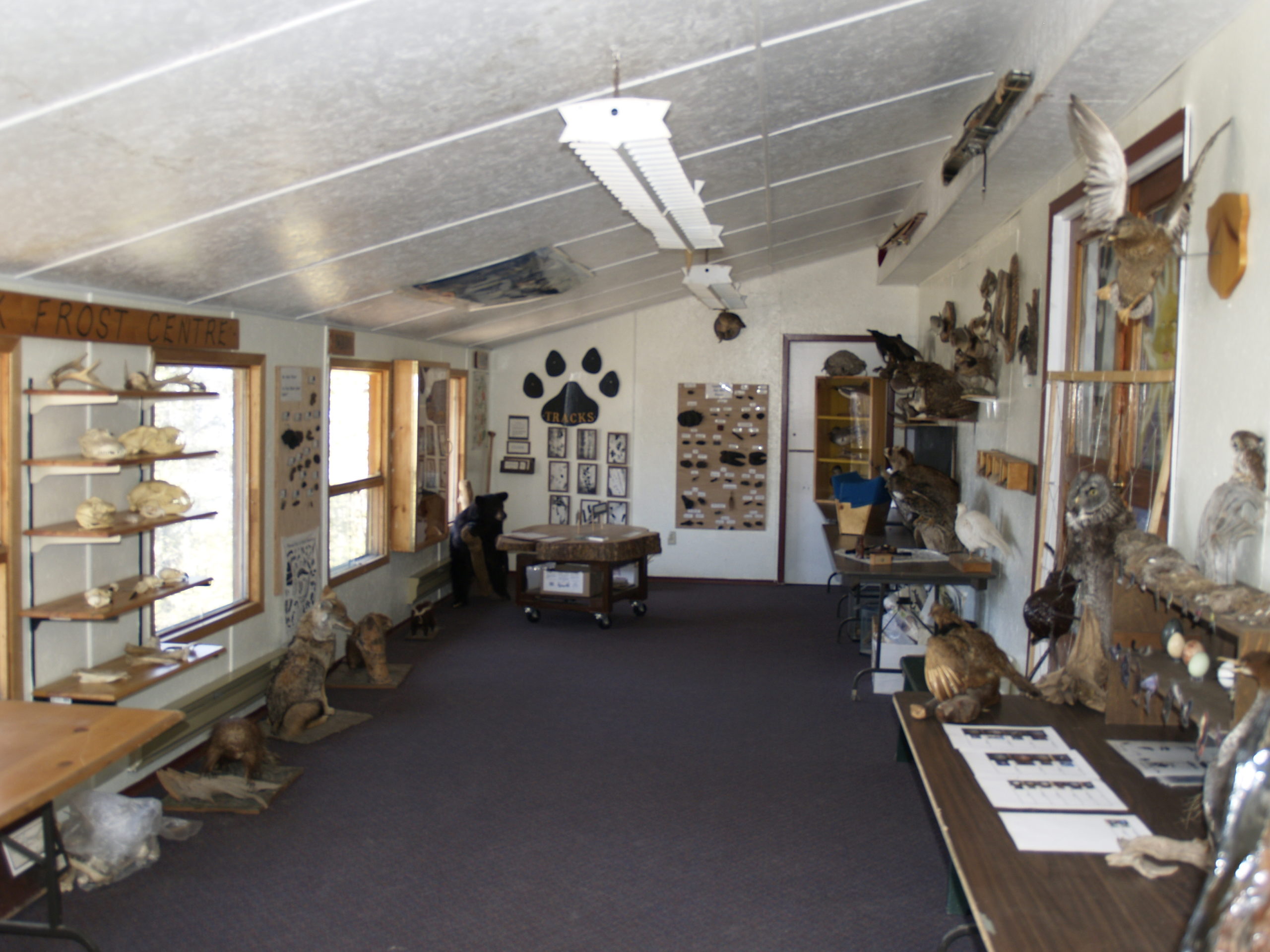 three walls of a room appear lined with fur and different trading pieces. a historic building that shows the act of trading.