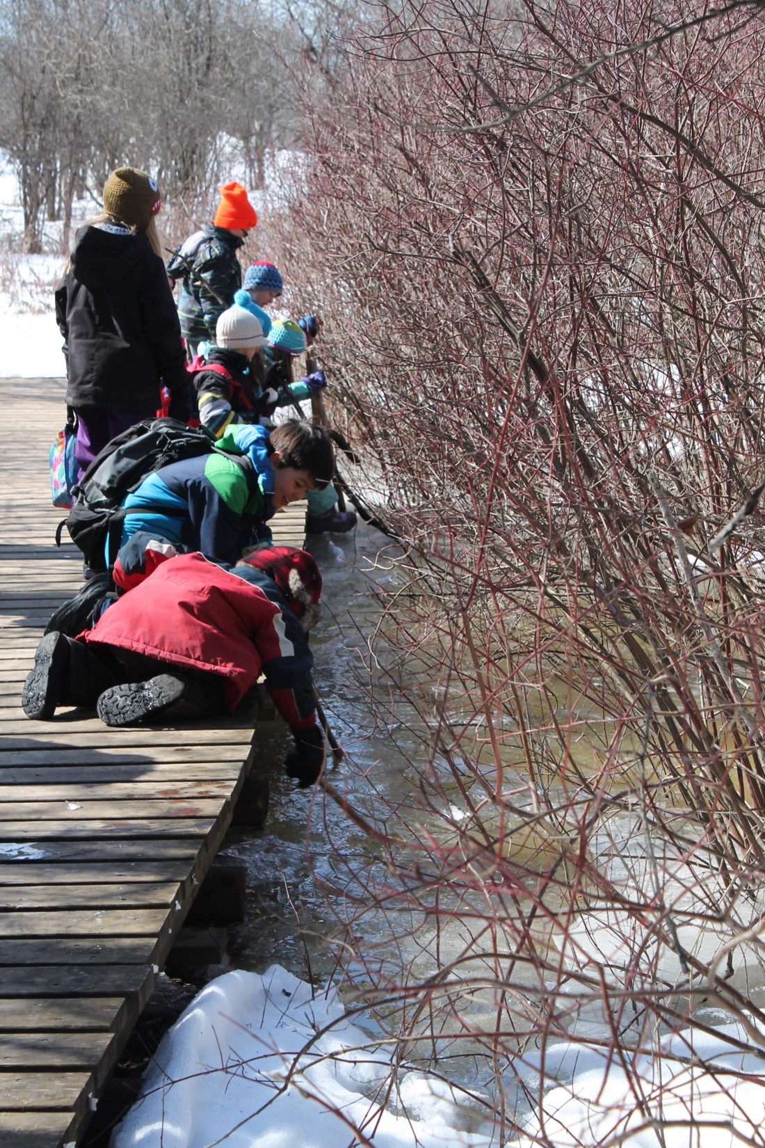 campers learning outside in snow