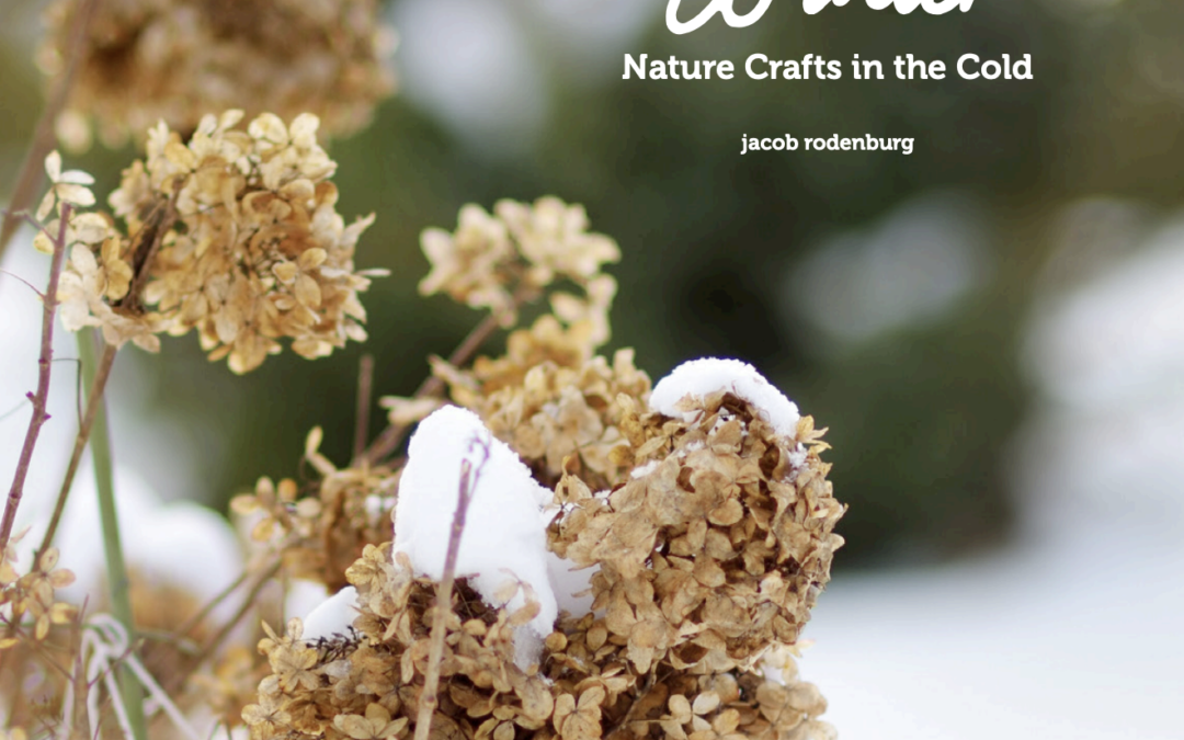 The Beauty of Winter: Nature Crafts in the Cold