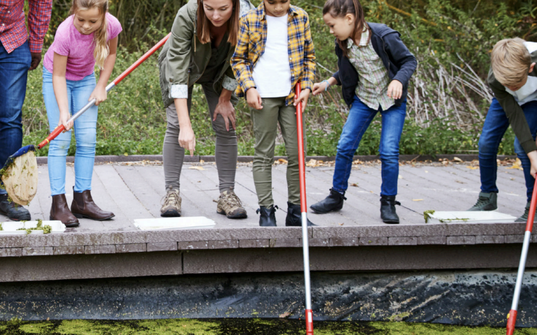 The Hidden World of Ponds and Streams