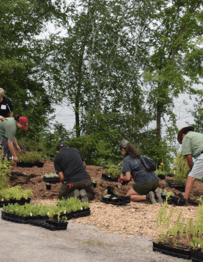 Volunteers Plant in the new garden space at Camp Kawartha's shoreline
