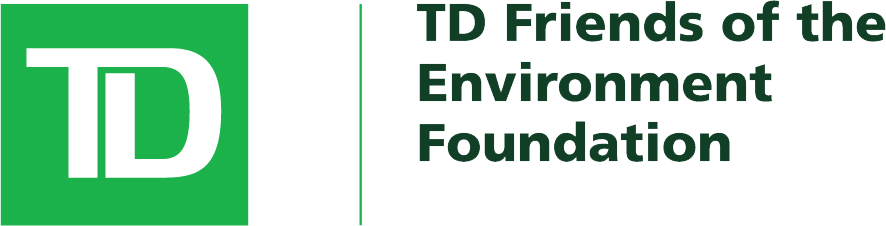 TD-FEF-logo TD FEF Logo