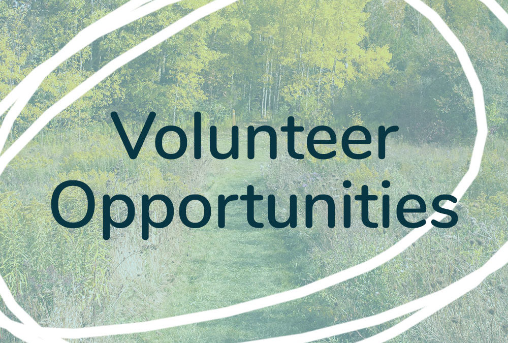 Volunteer Opportunities image