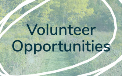 We have Volunteer Opportunities!