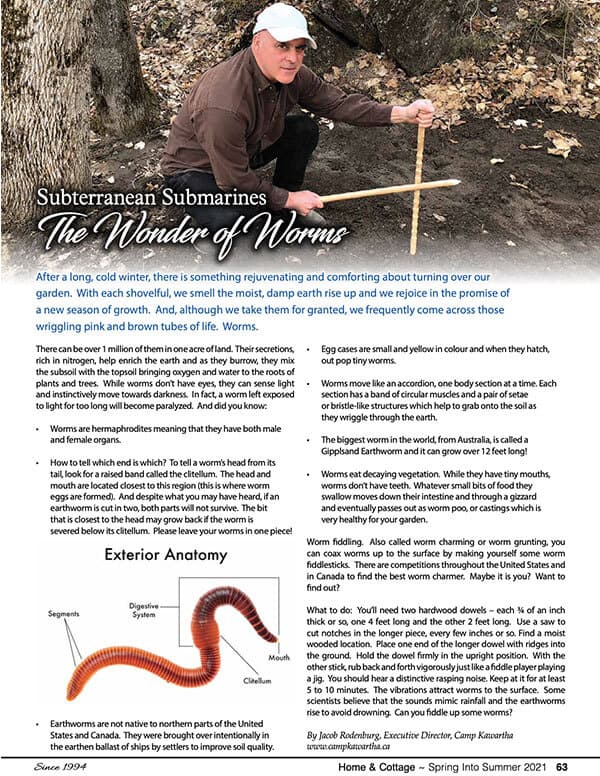 Photo of worm article cover