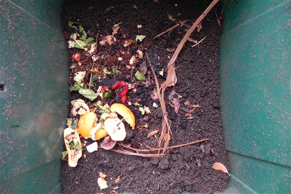 food scraps in compost