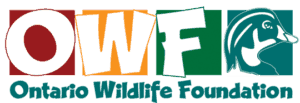 logo for Ontario Wildlife Foundation