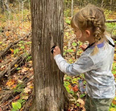 young girl up close looking at a tree