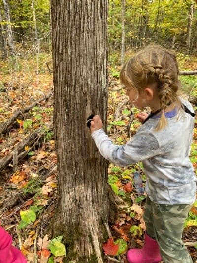young girl up close looking at a tree