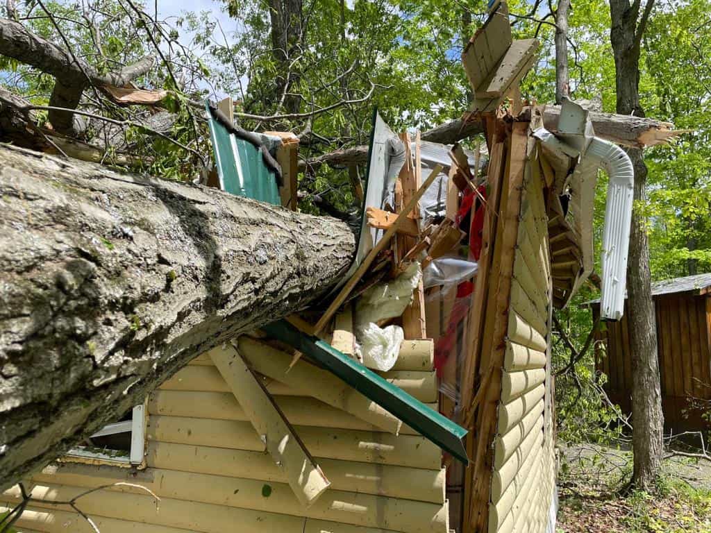 Damage to cabin from fallen tree