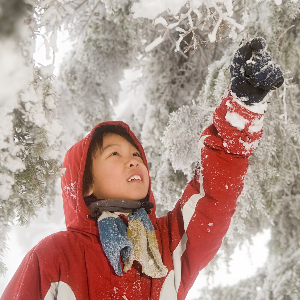 boy with snow covered tree