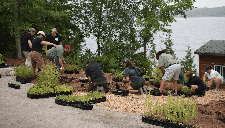 volunteers planting garden