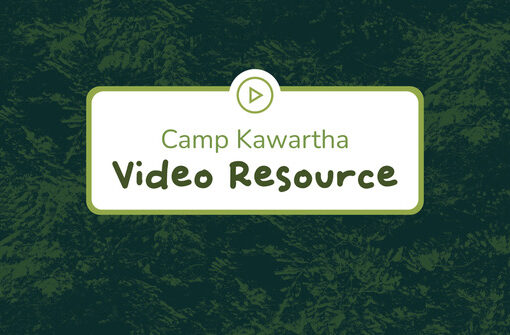 thumbnail for video resource