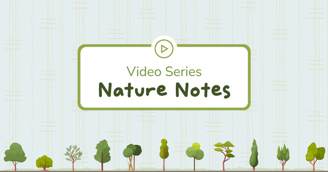 Nature Note 9: Nature Frame